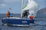 bluefin 2555c whyw24 thur 750 9466